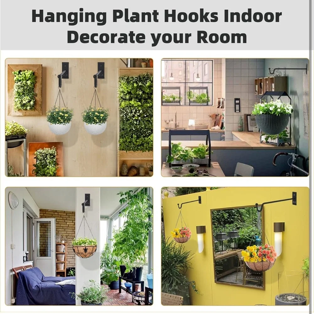 Damukoo hanging plant